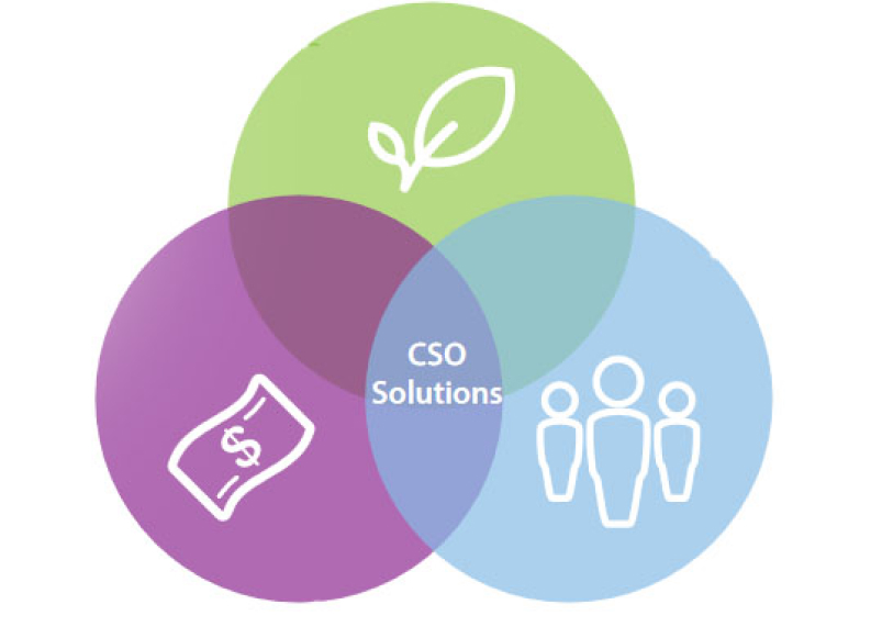 Venn Diagram showing CSO Solutions goals