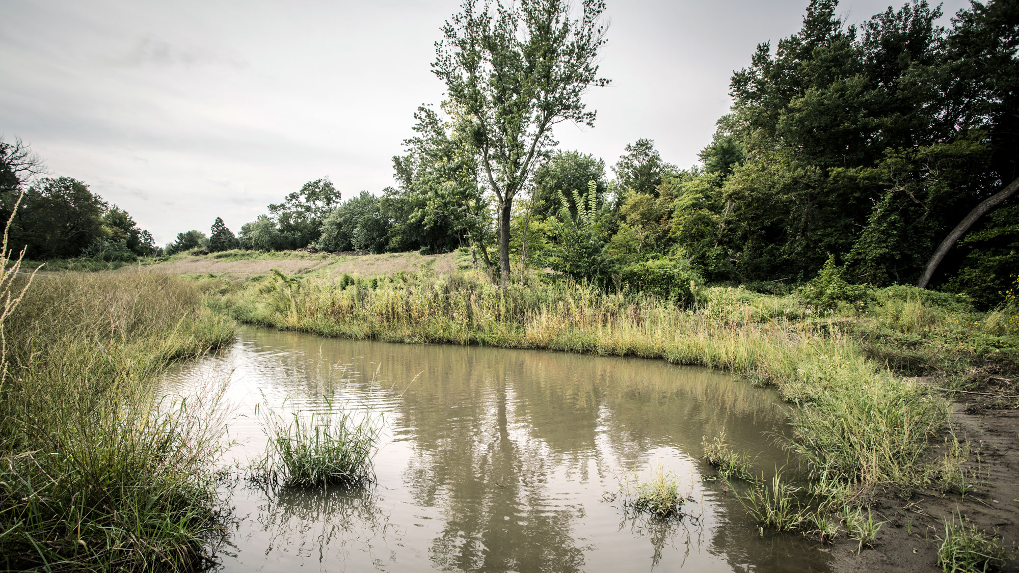 Photo of Saddle Creek Area &ndash; 55th to 64th Avenue Sewer Separation (opens in a new tab)
